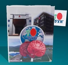 KIT_BASICO_DXN.jpg